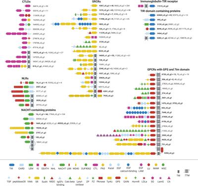 Individuality in the Immune Repertoire and Induced Response of the Sponge Halichondria panicea